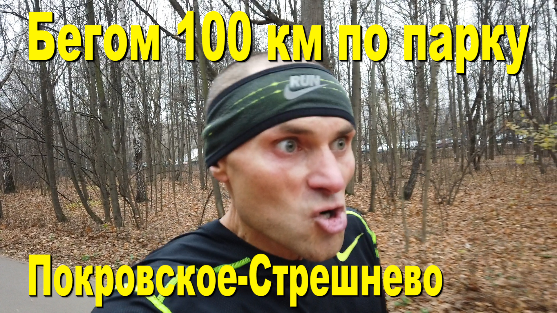 бегом 100 км по парку Покровское Стрешнево